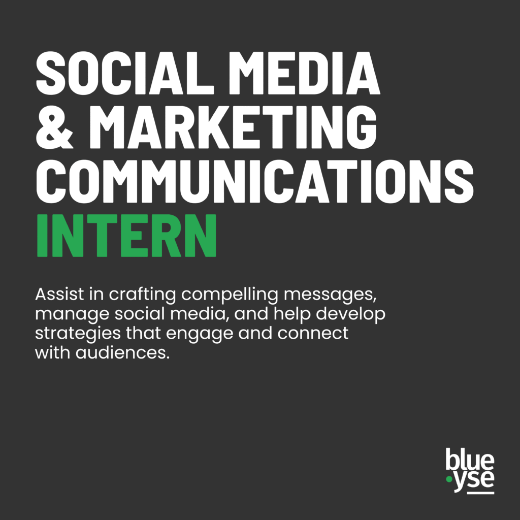 Blueyse - work with us